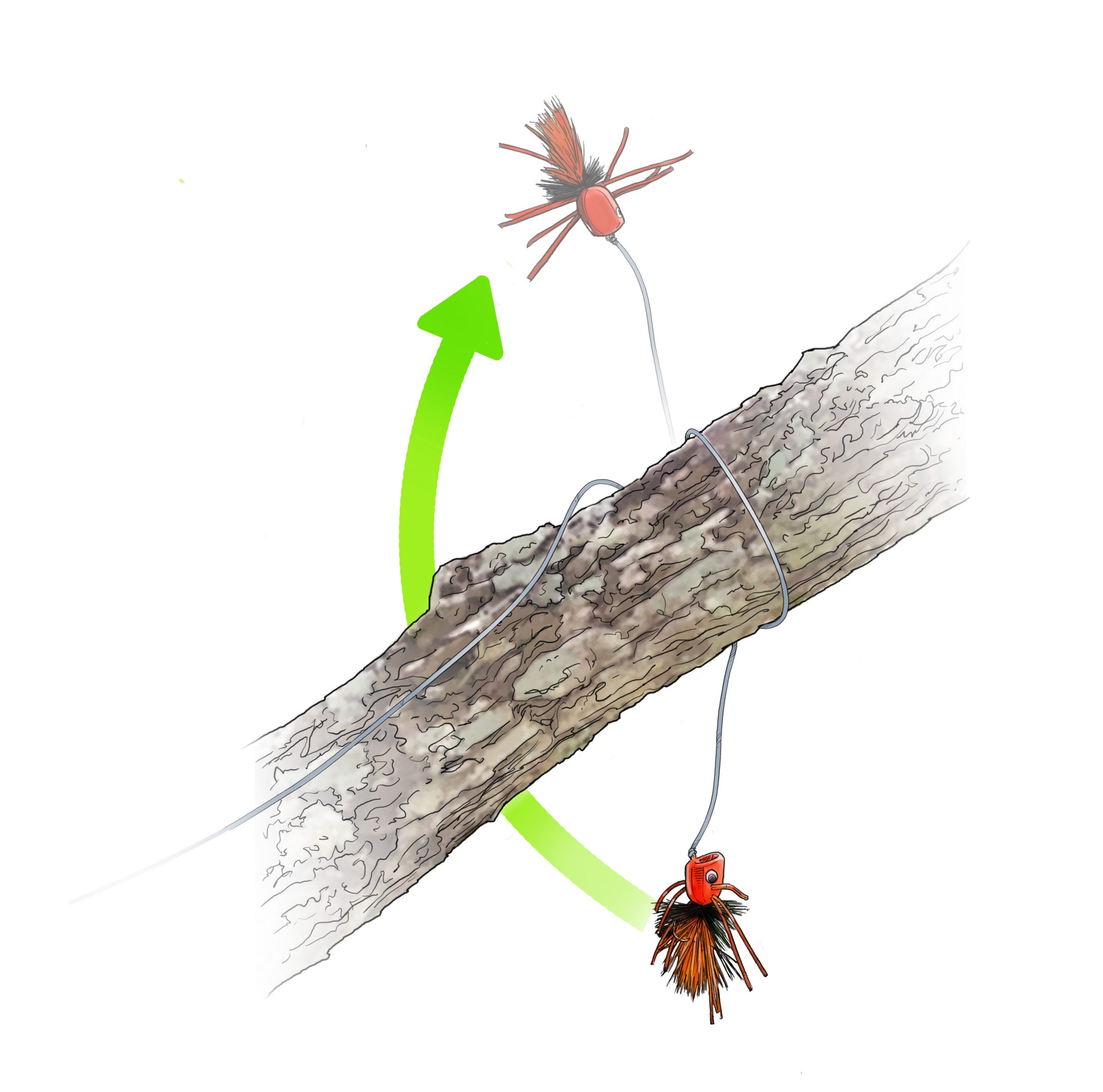 fly fishing illustration depicting the tease method to unsnag a fly