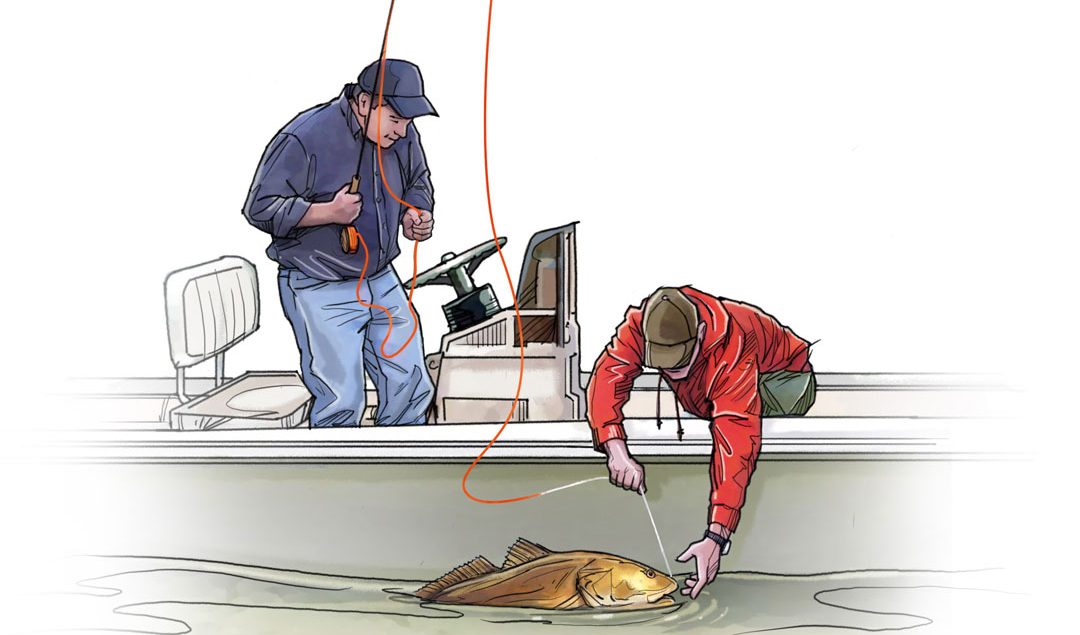 Fly fishing illustration showing a fish bing pulled into the boat
